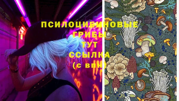 соль курить ск Армянск